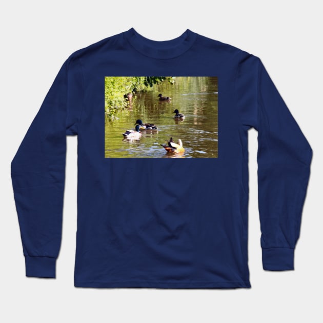 Ducks - water birds Long Sleeve T-Shirt by PlanetMonkey